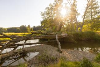 Günztal im Norden von Ottobeuren - Fotos: Louis Zuchtriegel