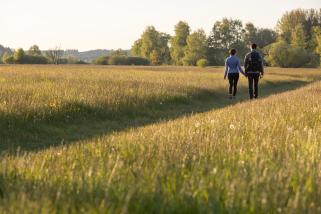 Wiesengänger-Route Ottobeuren Günztal | Wandertrilogie Allgäu | Bildnachweis Louis