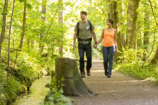 Terrain-Wege um Ottobeuren | Spazierweg am Motzabächle im Bannwald | Bildnachweis Louis Zuchtriegel
