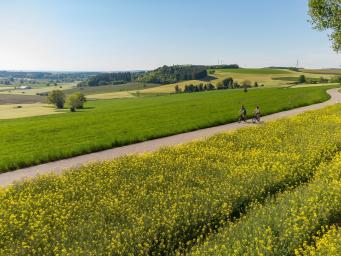 Radeln bei Ottobeuren zwischen Halbersberg und Langenberg
