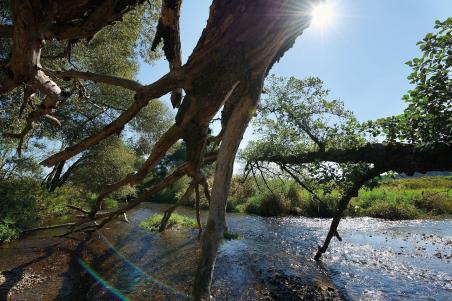 Marktgemeinde Ottobeuren | Glückswege Allgäu