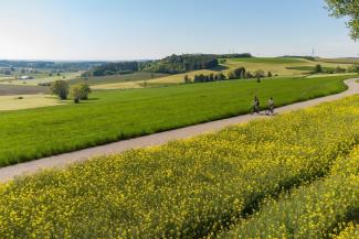 Radfahren im Allgäu zwischen Langenberg und Halbersberg bei Ottobeuren (c) Louis Zuchtriegel